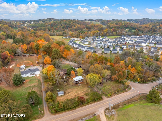 aerial view