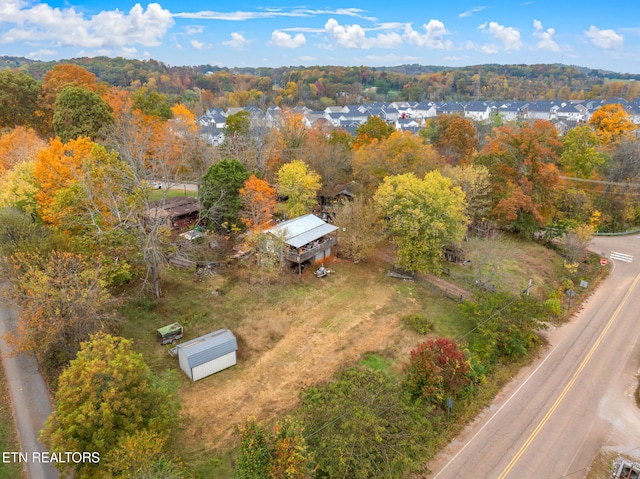 aerial view