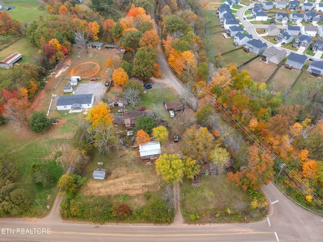 bird's eye view