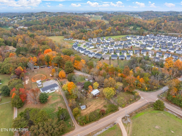 aerial view