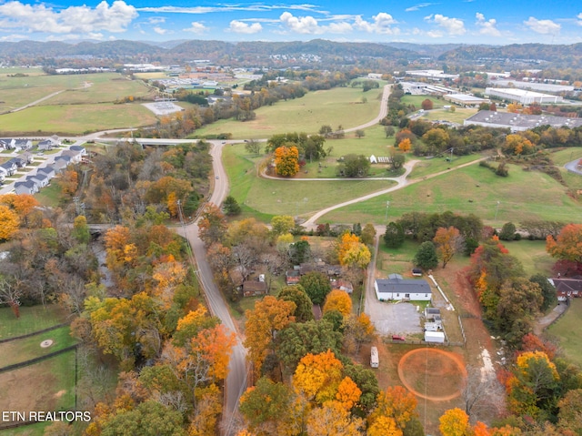 birds eye view of property with a mountain view