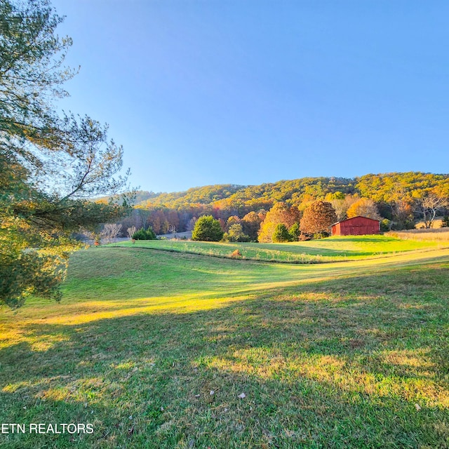 view of community with a lawn