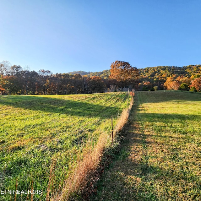 view of yard with a rural view