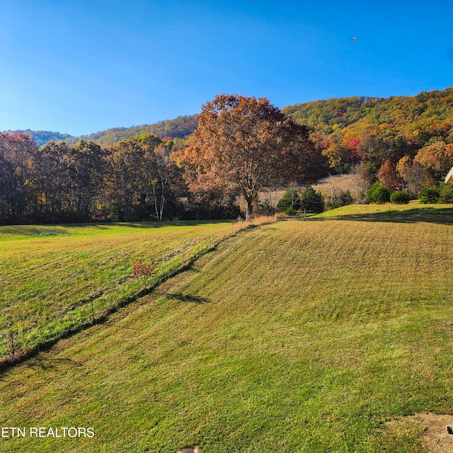 view of mountain feature featuring a rural view