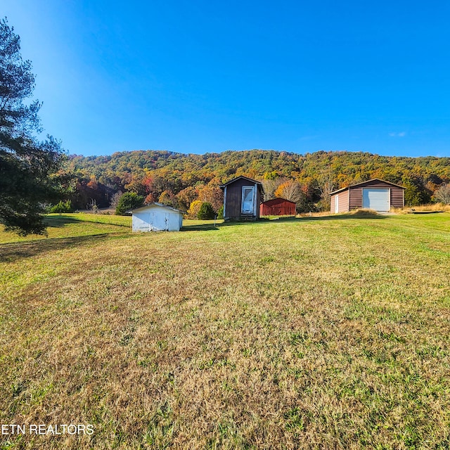 view of yard featuring a garage and a storage shed