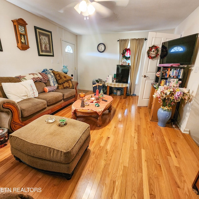 living room featuring ceiling fan and light hardwood / wood-style flooring