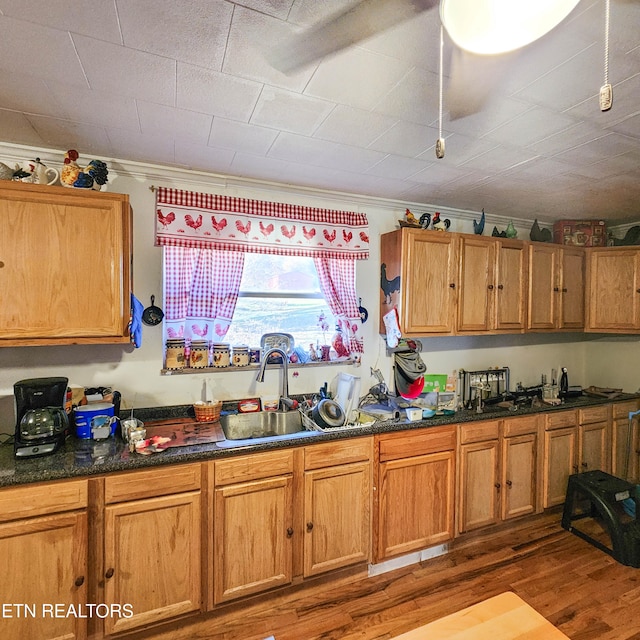 kitchen with dark hardwood / wood-style floors, sink, and ornamental molding