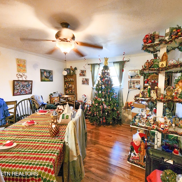 dining area featuring hardwood / wood-style floors, a textured ceiling, crown molding, and ceiling fan