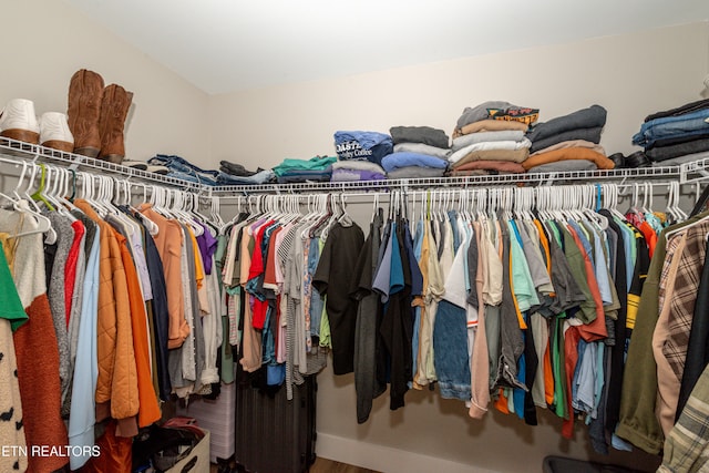 view of walk in closet