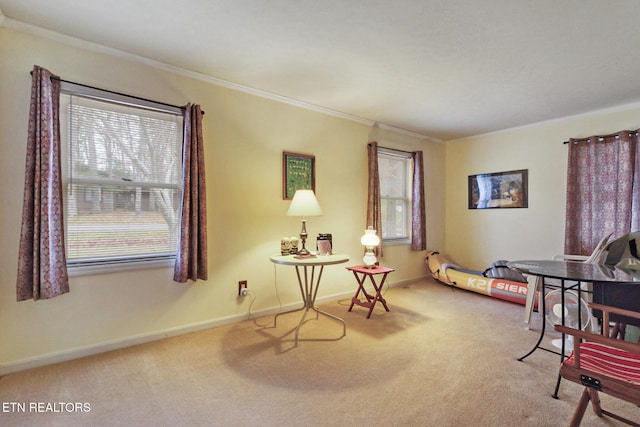 sitting room featuring carpet and ornamental molding