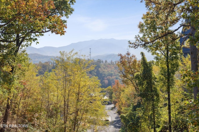 view of mountain feature