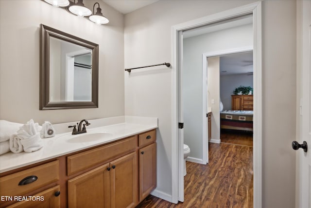 bathroom featuring vanity, toilet, and wood-type flooring