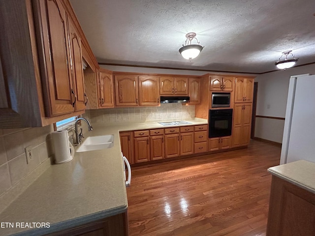 kitchen featuring stainless steel microwave, light hardwood / wood-style flooring, black oven, sink, and white fridge