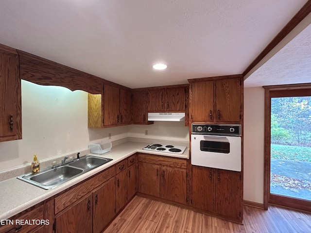 kitchen featuring light hardwood / wood-style floors, sink, and white appliances