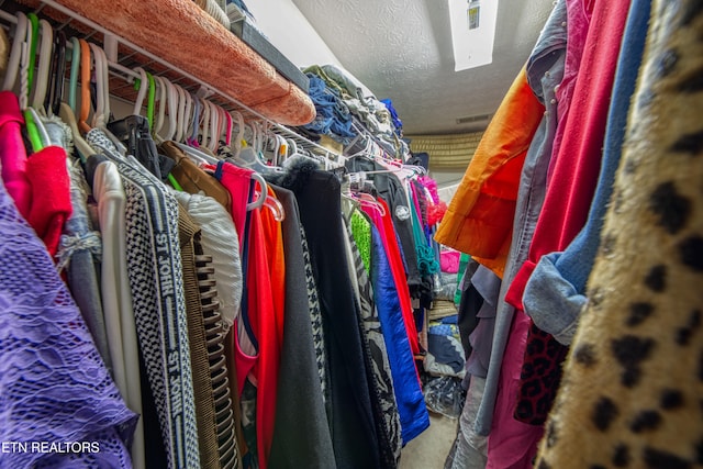 view of spacious closet