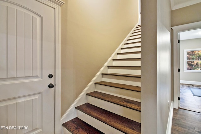 staircase with hardwood / wood-style floors