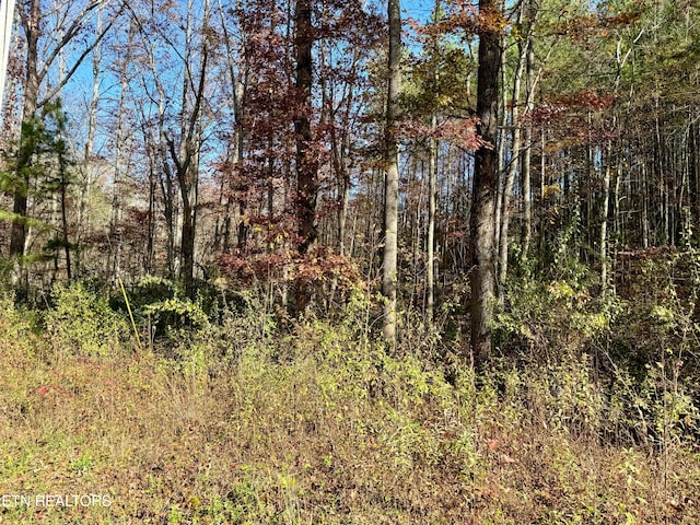 Listing photo 2 for Lower Rockwood Rd, Rockwood TN 37854