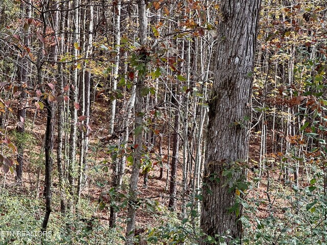 Lower Rockwood Rd, Rockwood, TN 37854 - photo 1
