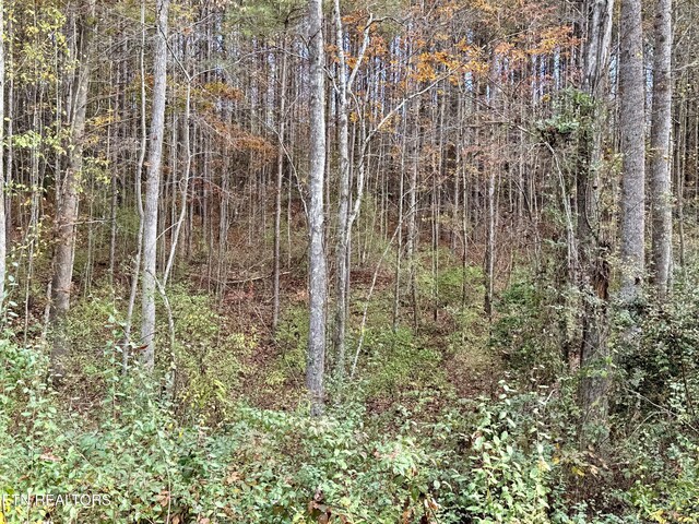 Lower Rockwood Rd, Rockwood, TN 37854 - photo 3