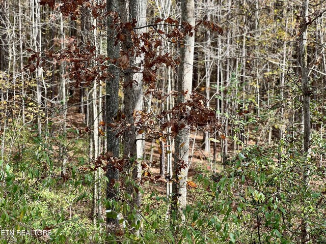 Lower Rockwood Rd, Rockwood, TN 37854 - photo 4