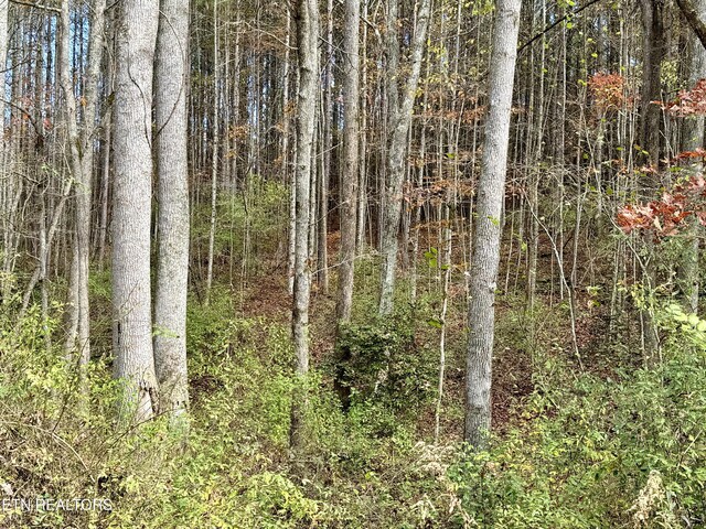 Lower Rockwood Rd, Rockwood, TN 37854 - photo 5