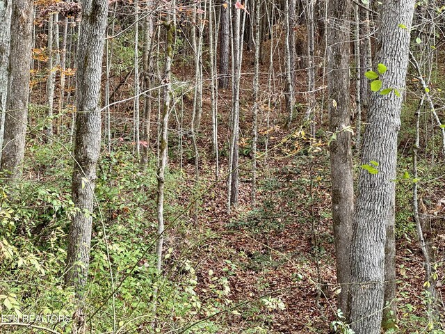 Lower Rockwood Rd, Rockwood, TN 37854 - photo 6