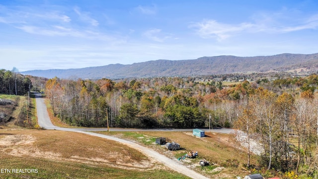 view of mountain feature