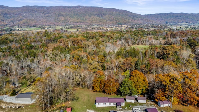 view of mountain feature