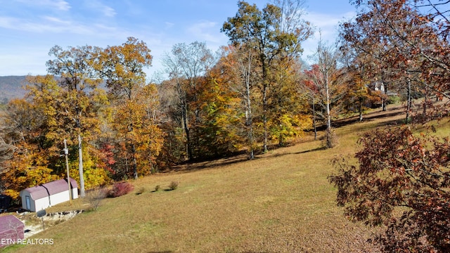 view of yard featuring an outbuilding