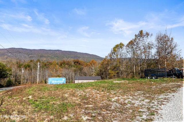 view of yard with a mountain view