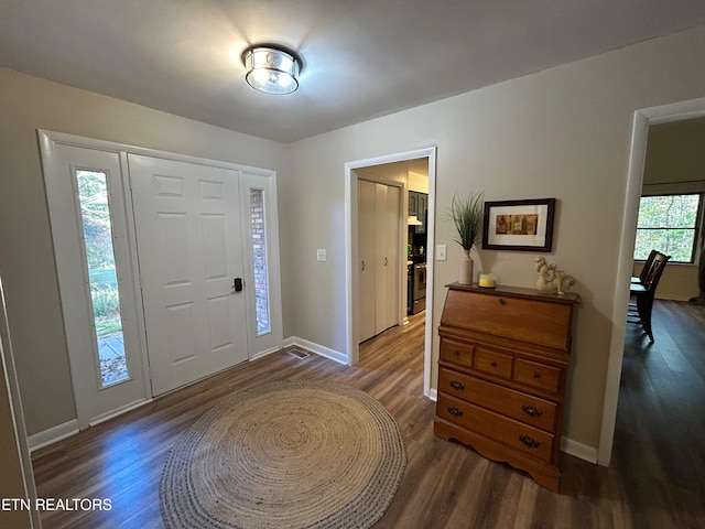 entryway with plenty of natural light and dark hardwood / wood-style flooring