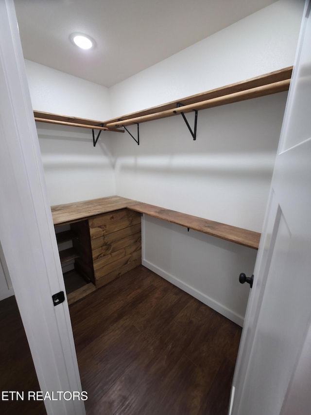 spacious closet with dark hardwood / wood-style flooring