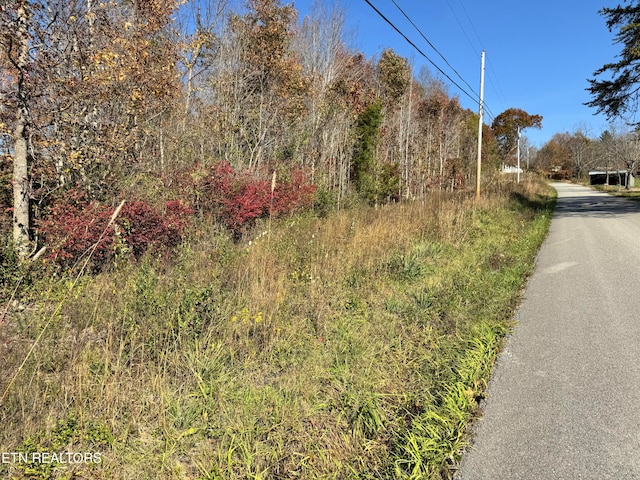 Tunnel Hill Rd, Robbins TN, 37852 land for sale