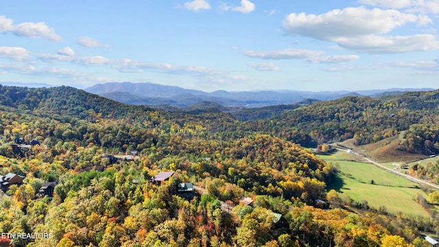 aerial view with a mountain view