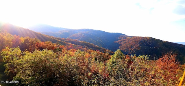 property view of mountains