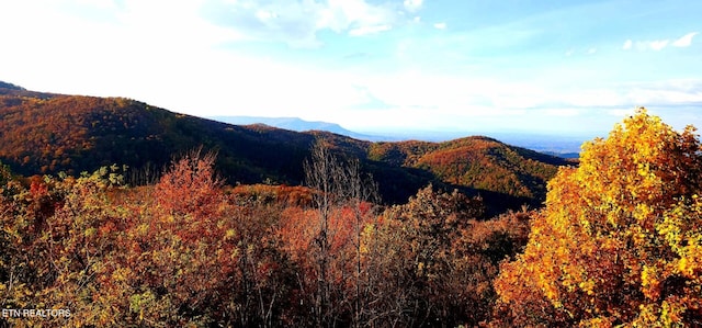 property view of mountains