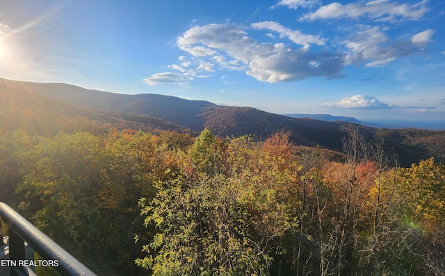 view of mountain feature