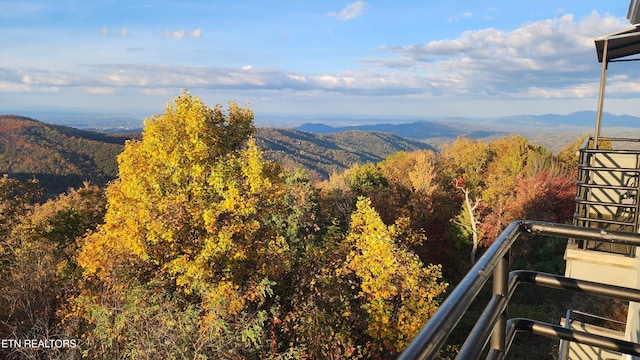 property view of mountains