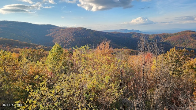 property view of mountains