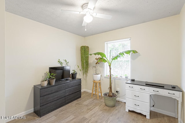 office space featuring light wood-type flooring, a textured ceiling, and ceiling fan