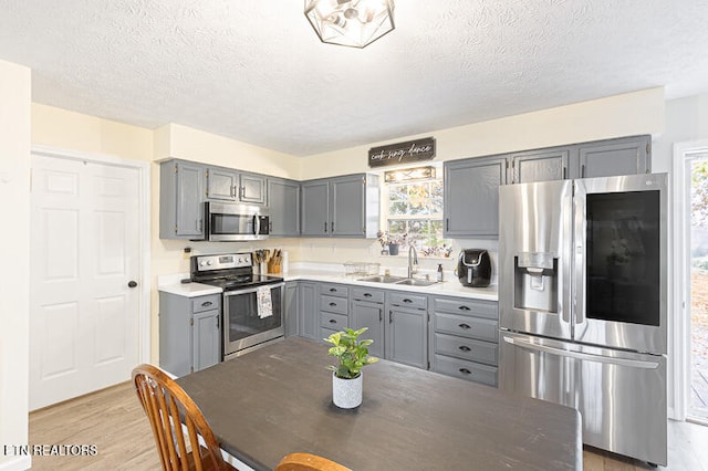 kitchen featuring light hardwood / wood-style flooring, a wealth of natural light, sink, and stainless steel appliances