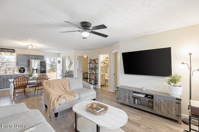 living room featuring a healthy amount of sunlight, sink, light hardwood / wood-style flooring, and a textured ceiling