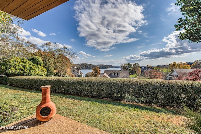 view of yard featuring a mountain view