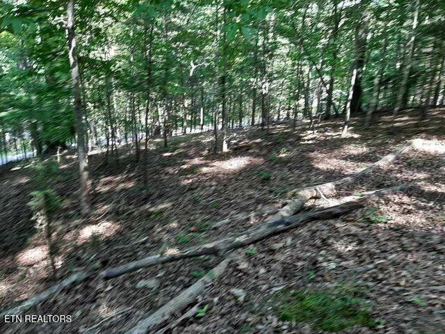 Deer Pond Cir, Lafollette, TN 37766
