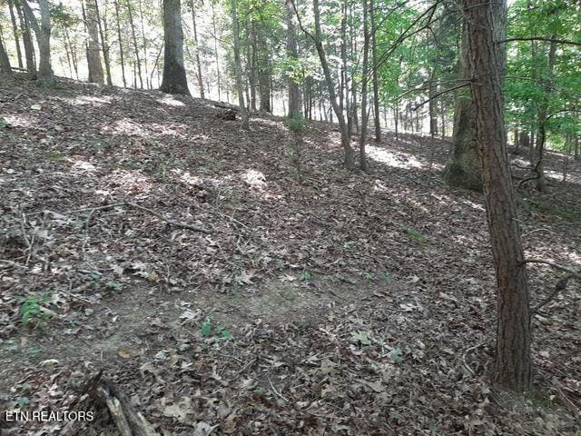 Deer Pond Cir, Lafollette, TN 37766