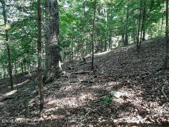 Deer Pond Cir, Lafollette, TN 37766