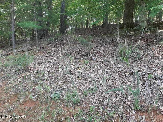 Deer Pond Cir, Lafollette, TN 37766