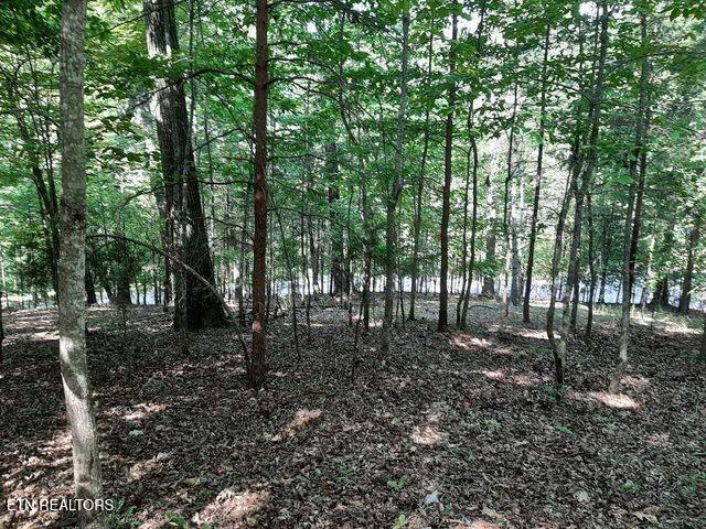 Deer Pond Cir, Lafollette, TN 37766