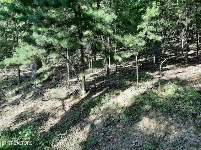 Deer Pond Cir, Lafollette, TN 37766