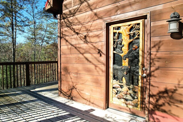 1107 Momma Bear Way, Sevierville, TN 37876 - photo 40